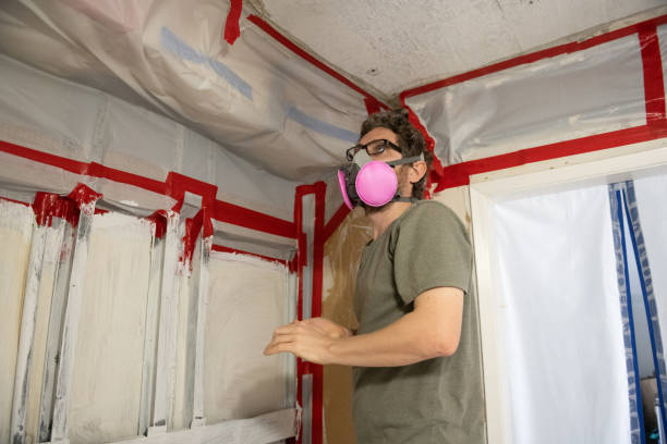 Mold Documentation for Insurance Claims in Lockport, NY